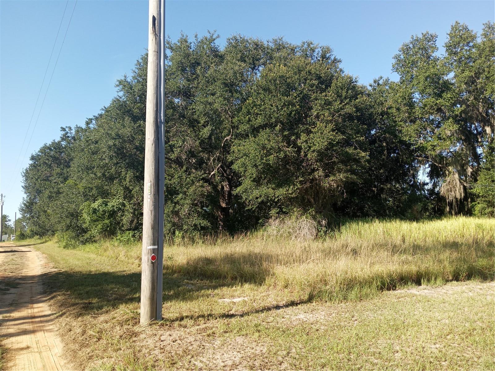 5 acres ALL HIGH AND DRY, with NO HOA!! Absolutely gorgeous majestic trees throughout, with plenty of open spaces to build your dream home, and still maintain complete privacy. Enjoy the rural feel of country life, yet still be close to shopping, restaurants, doctors and hospitals. Situated in the heart of Central Florida, both the East and West coasts are just 1 1/2 hours away. Schedule your private showing, and get ready to secure the most beautiful parcel around!