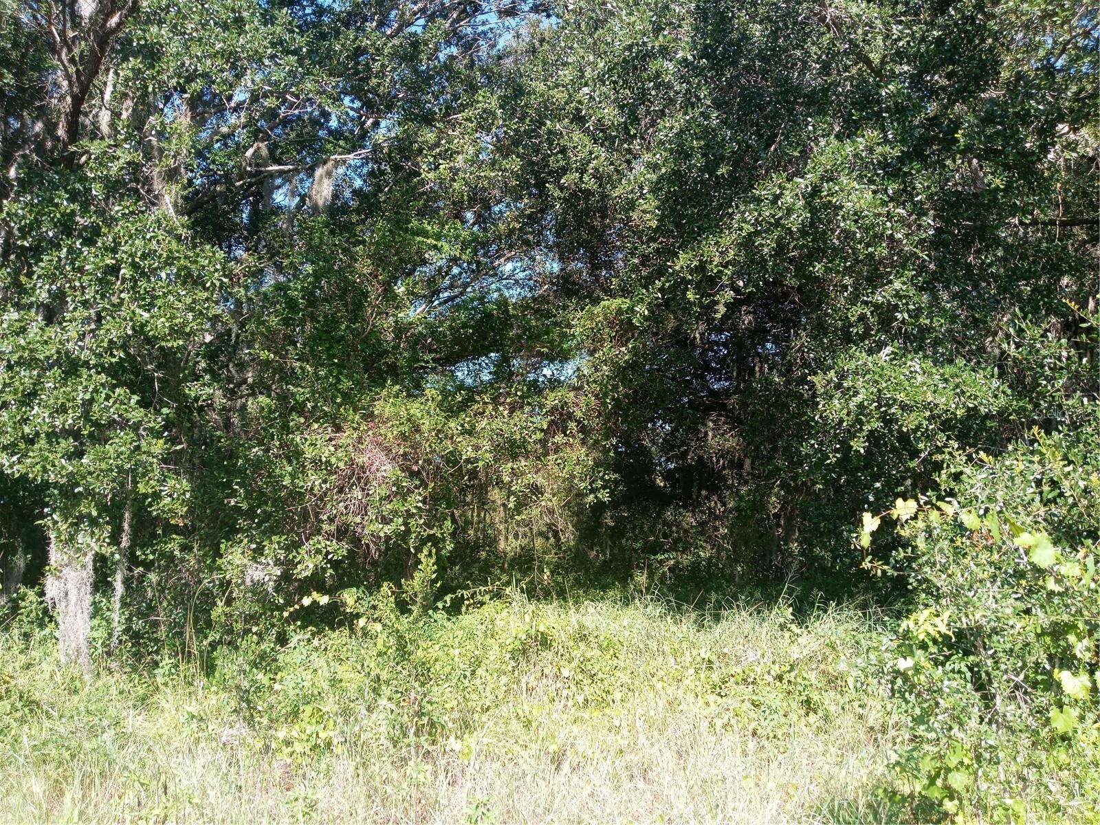 POSTAL COLONY 26-23-25 - Land