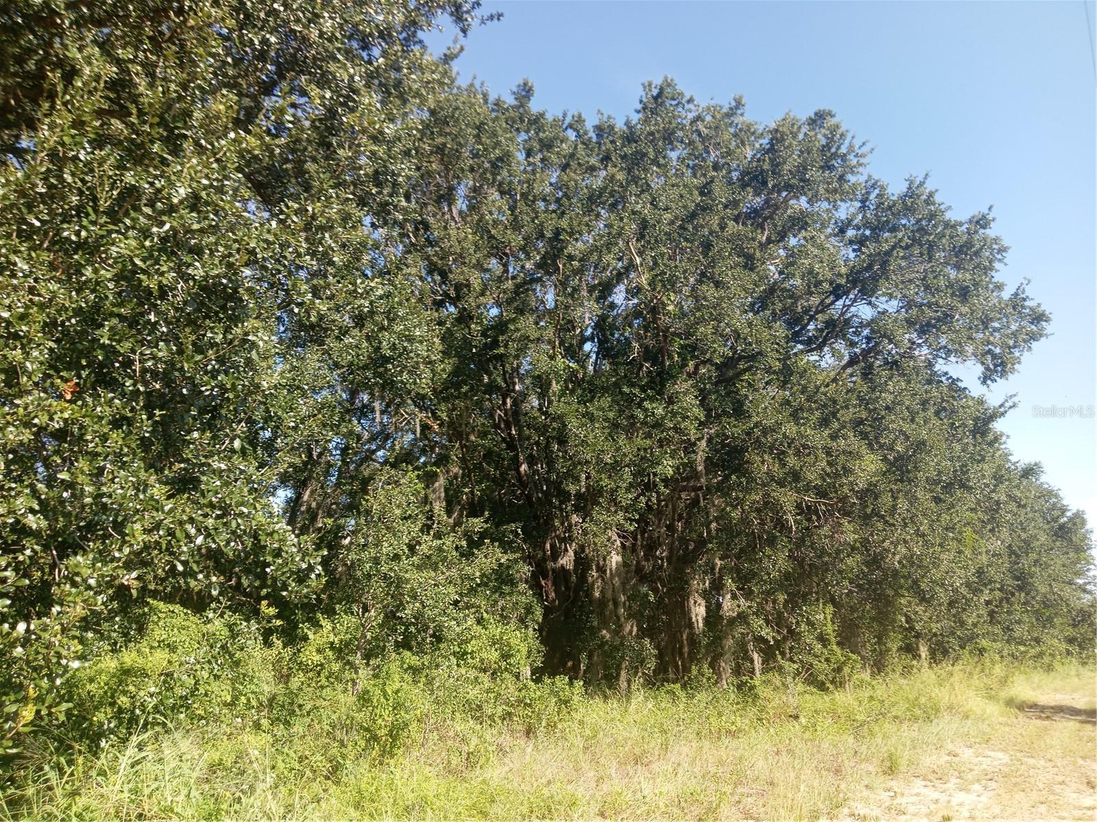 POSTAL COLONY ROAD