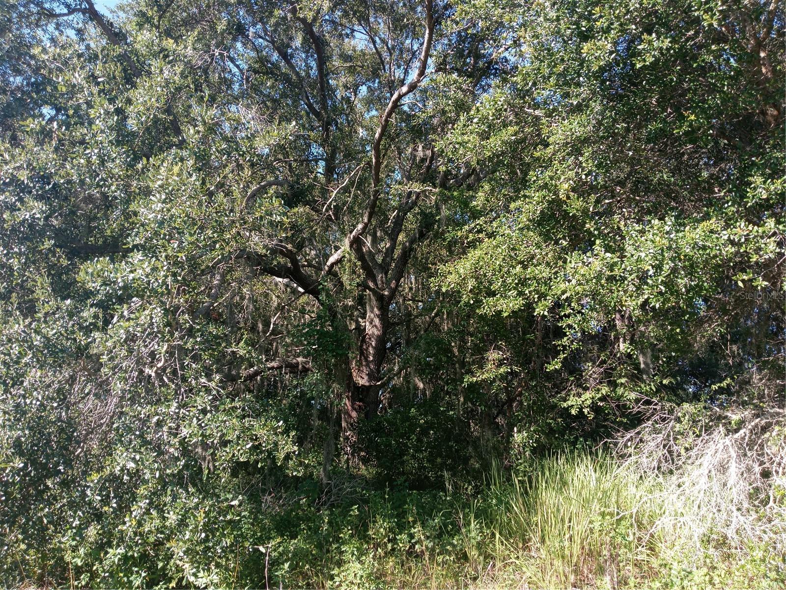 POSTAL COLONY 26-23-25 - Land