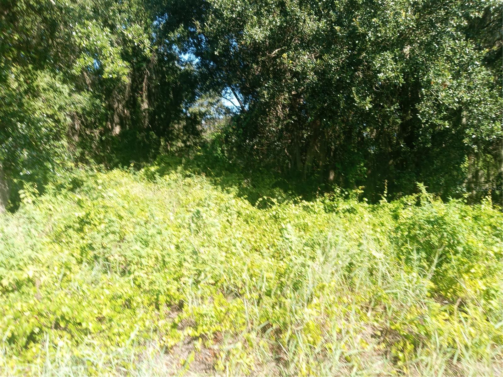 POSTAL COLONY 26-23-25 - Land