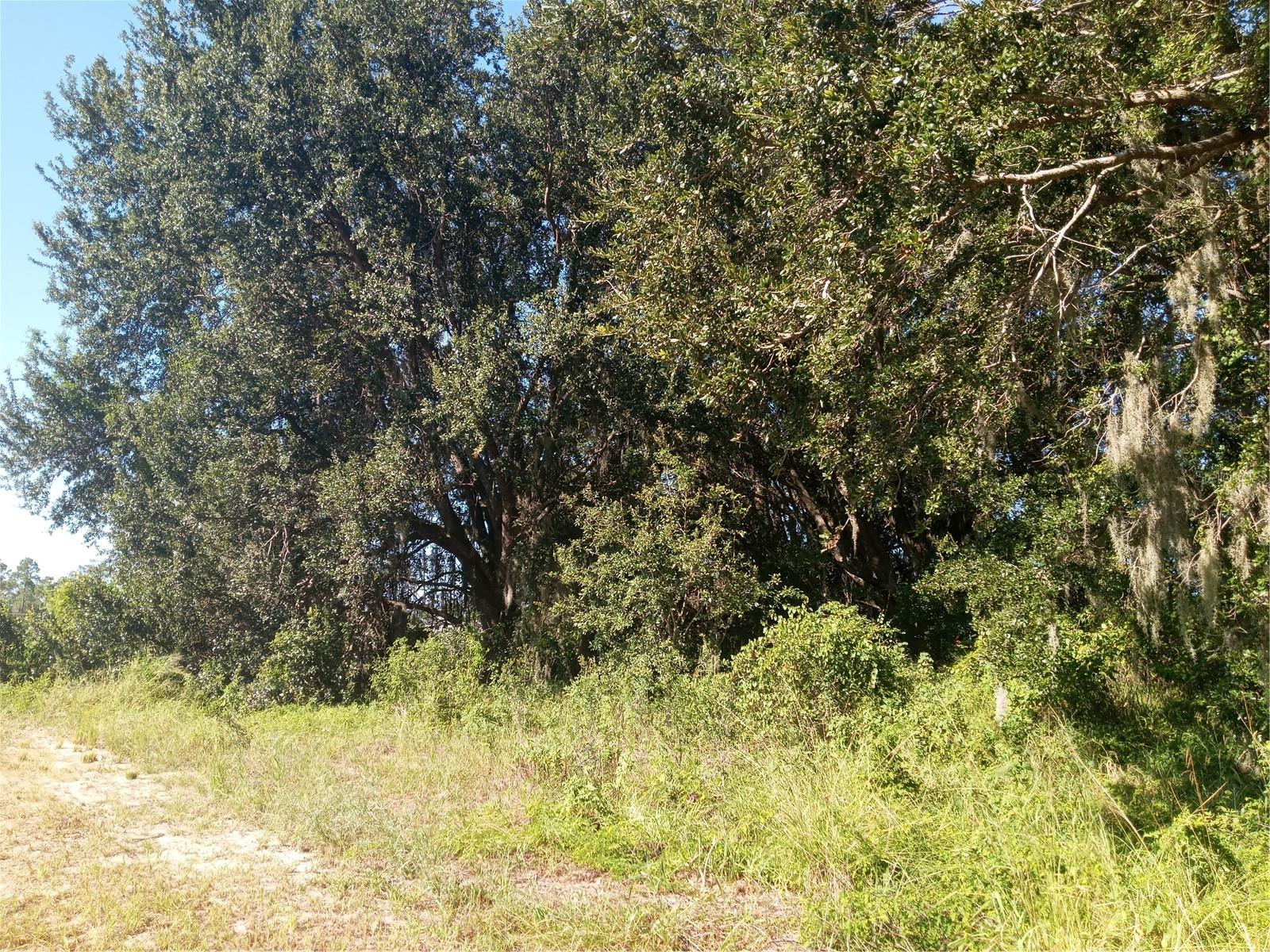 POSTAL COLONY 26-23-25 - Land