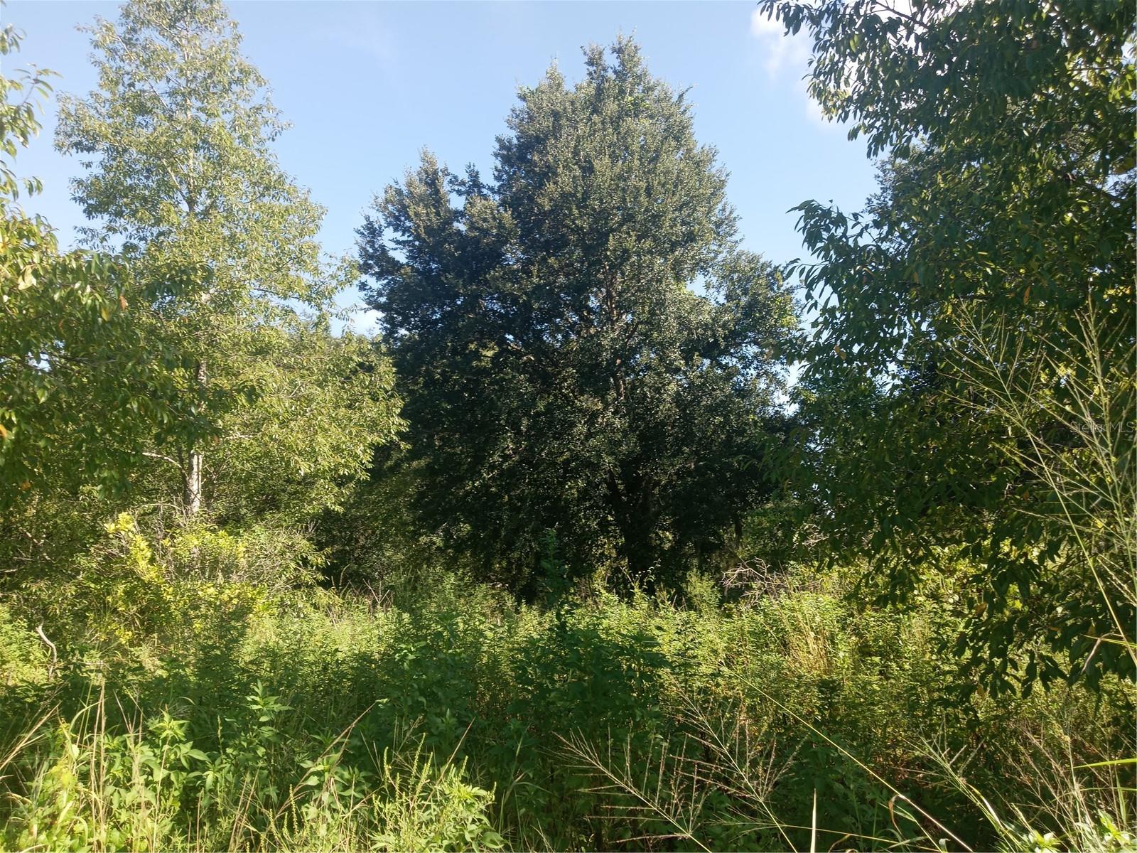 POSTAL COLONY 26-23-25 - Land