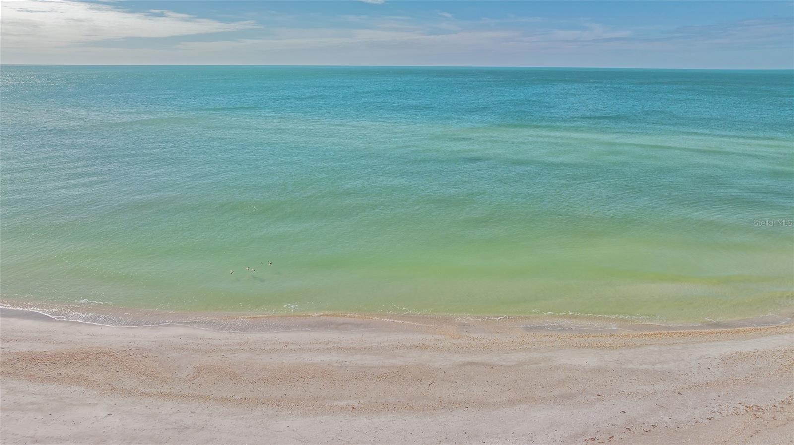 ORCHID BEACH CLUB RESIDENCES - Residential