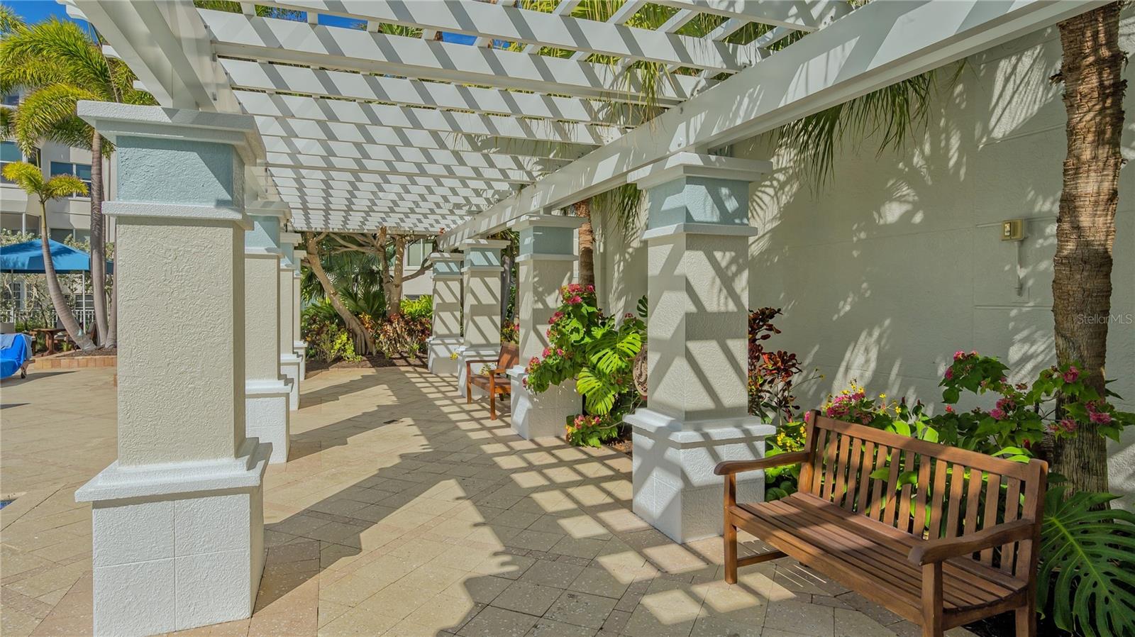 ORCHID BEACH CLUB RESIDENCES - Residential