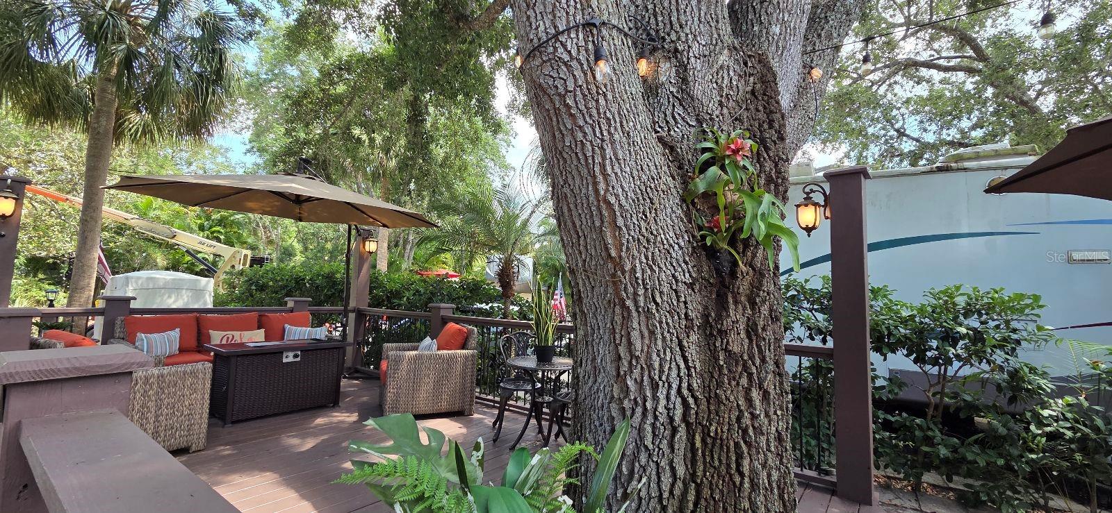 OUTDOOR RESIDENCE RIVER RANCH RV RESIDENCE - Land