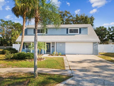 A home in TAMPA