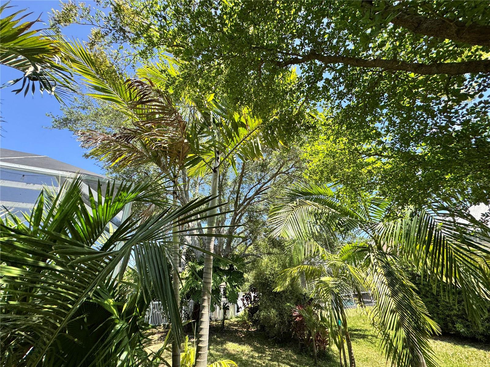 SUMMERFIELD VILLAGE SUBPHASE C U11 - Residential