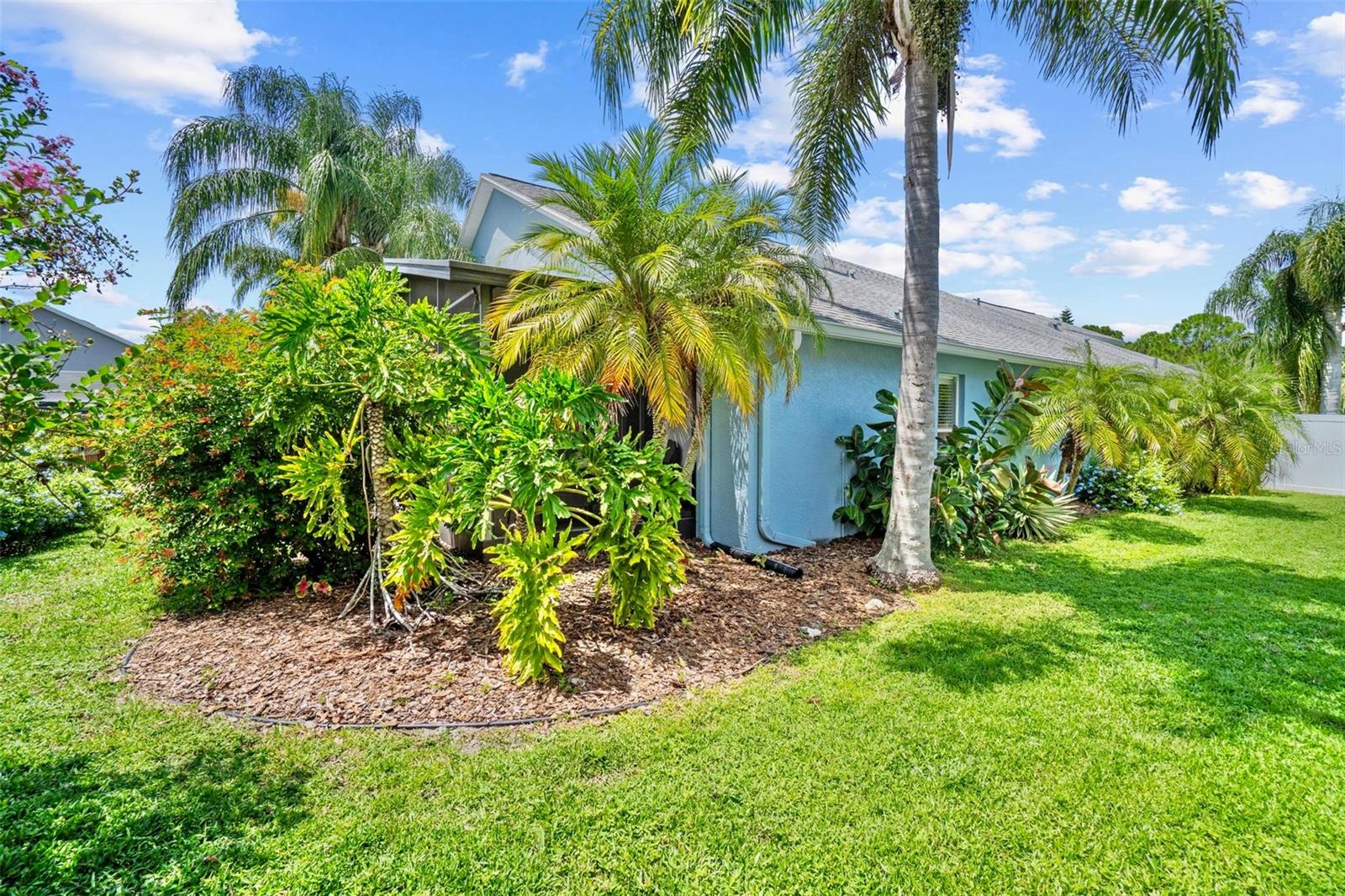 10031 COLONNADE DRIVE