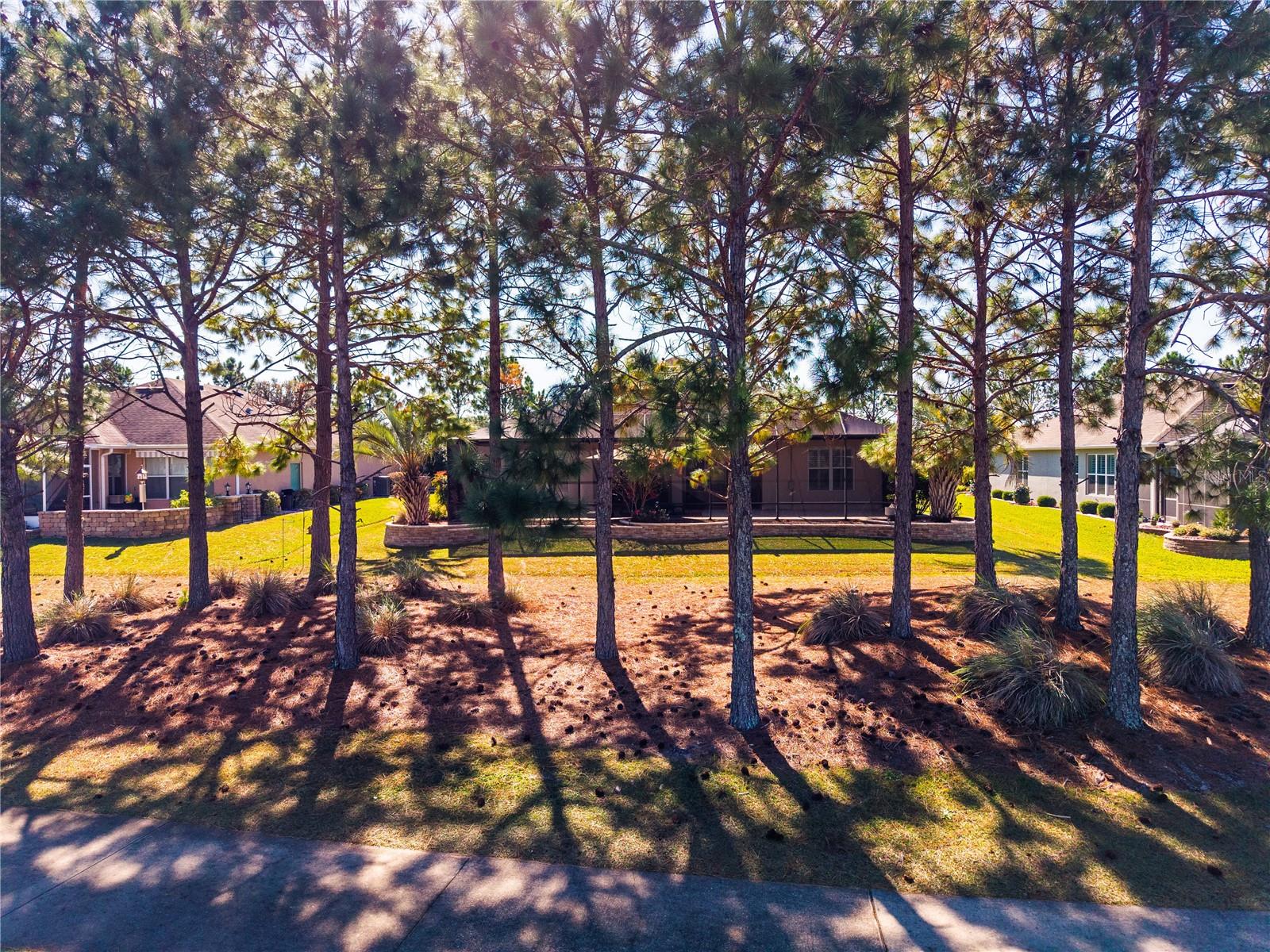 STONE CREEK - Residential