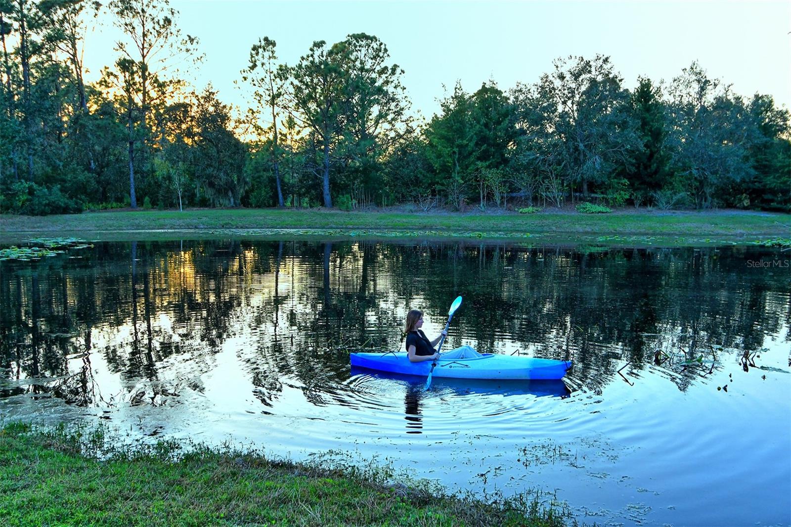 THE FOREST AT PANTHER RIDGE - Residential