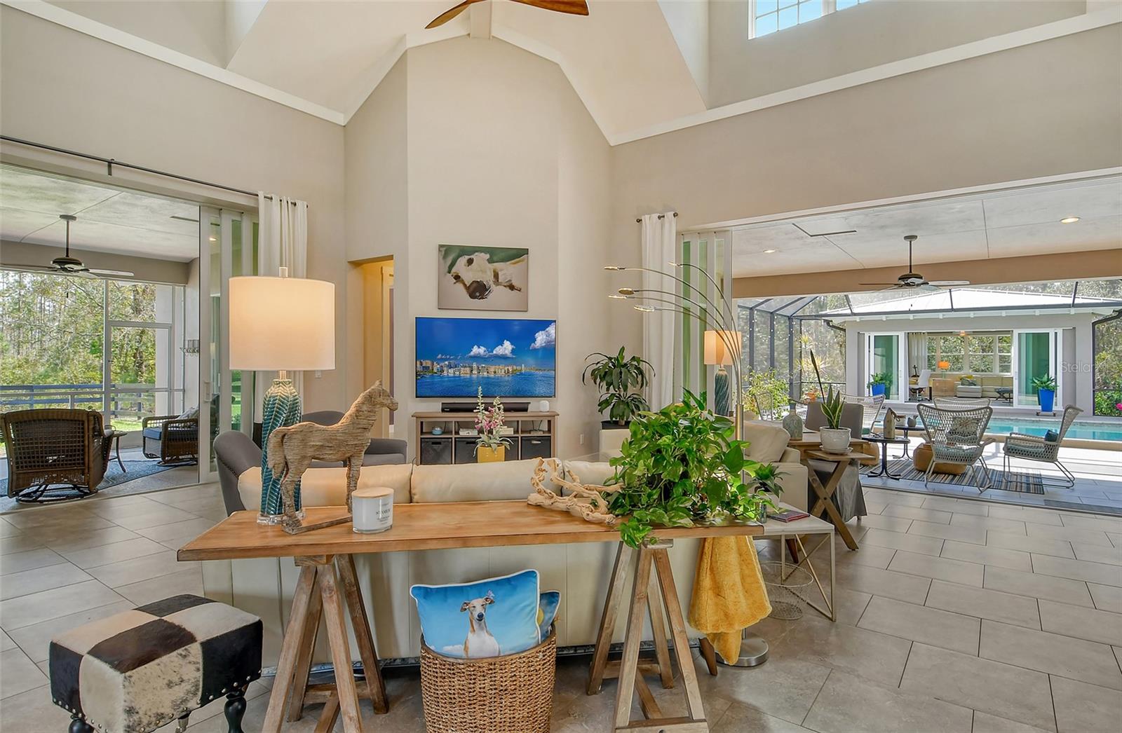 THE FOREST AT PANTHER RIDGE - Residential