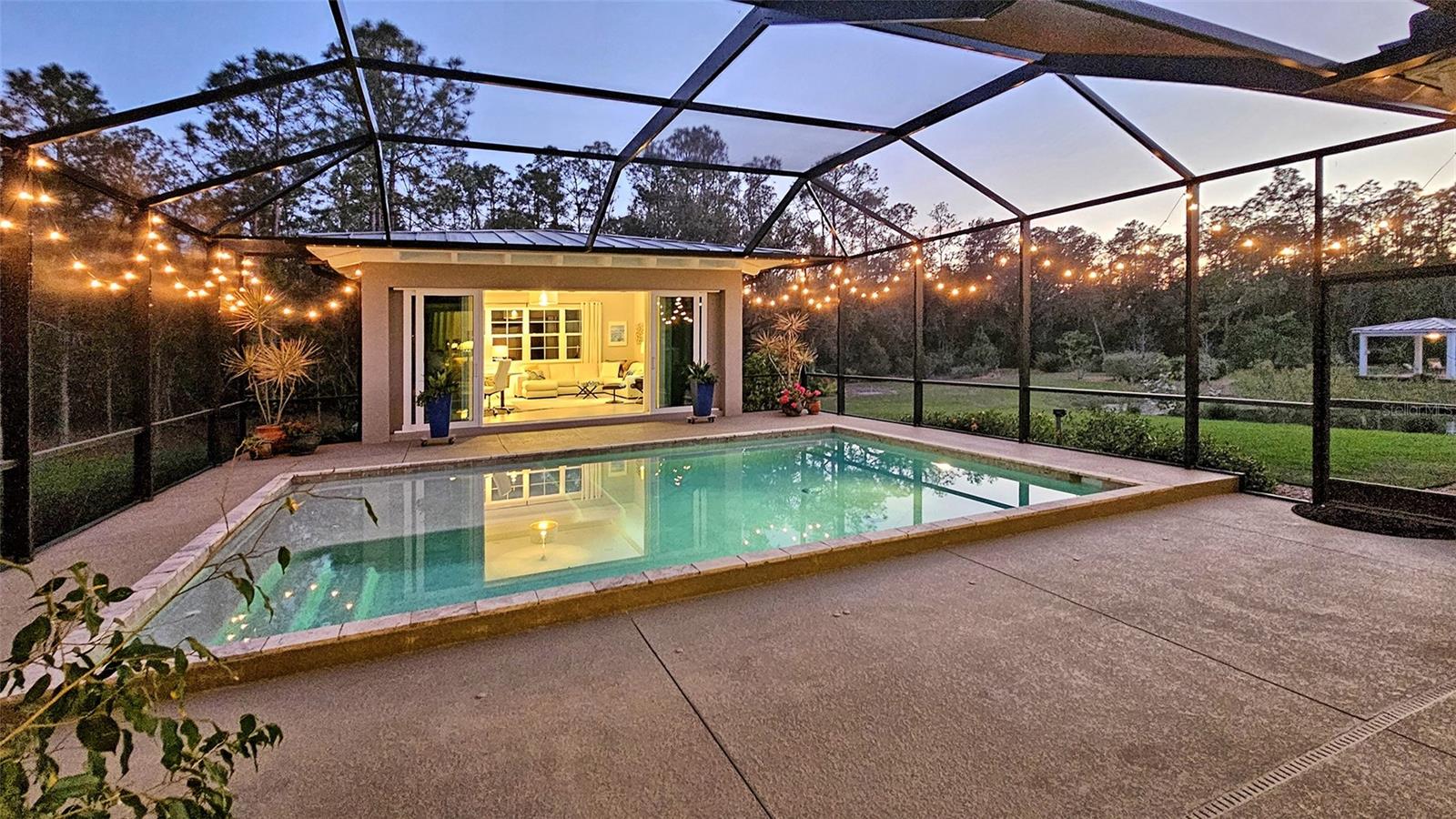 THE FOREST AT PANTHER RIDGE - Residential