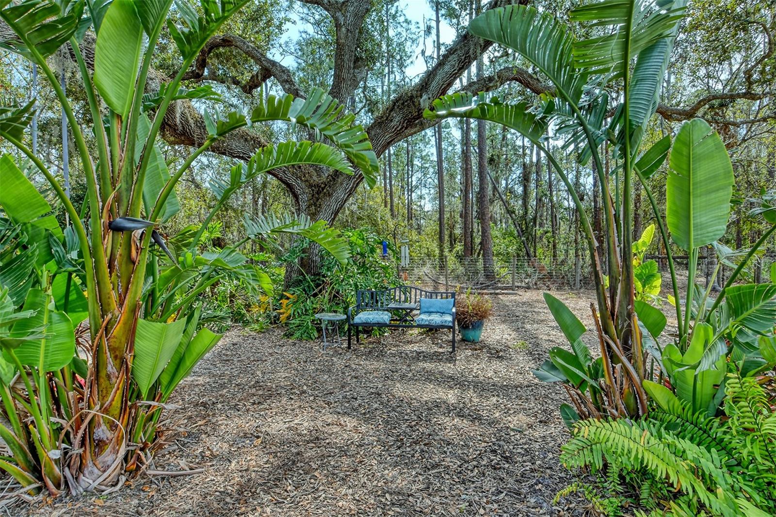 THE FOREST AT PANTHER RIDGE - Residential