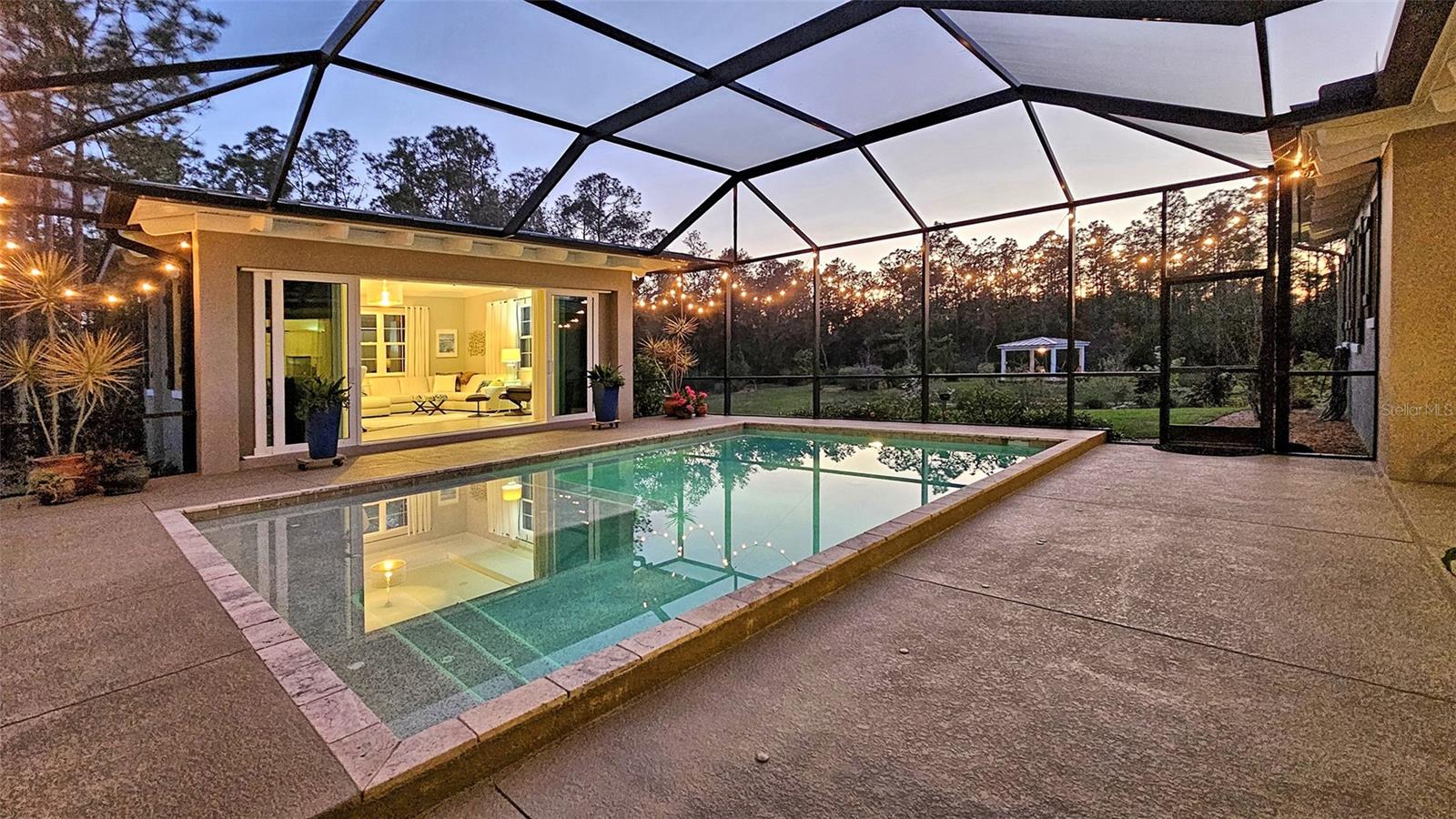 THE FOREST AT PANTHER RIDGE - Residential