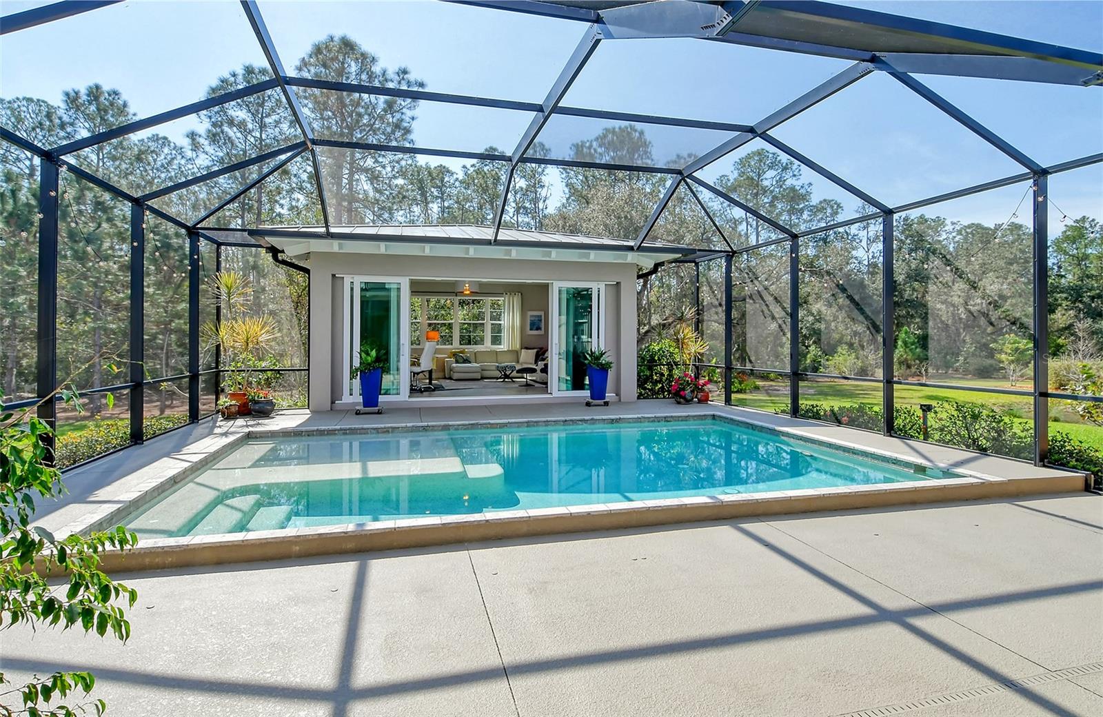 THE FOREST AT PANTHER RIDGE - Residential