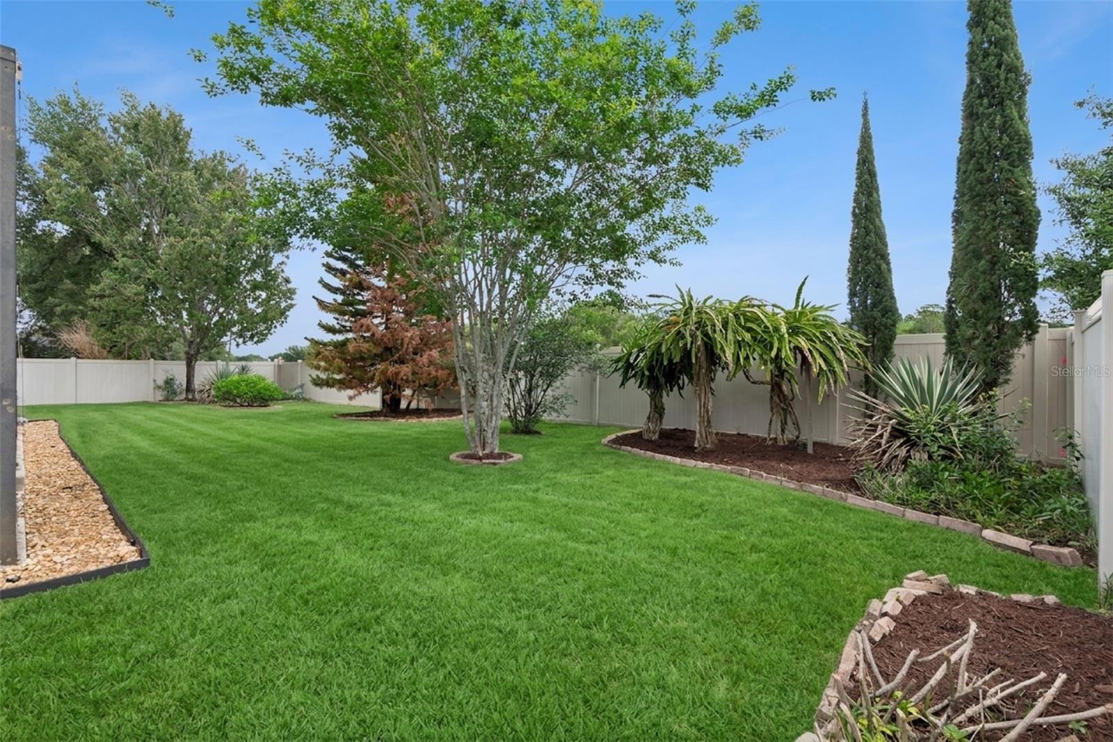 CHAPMAN COVE - Residential