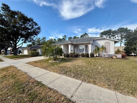 A home in PORT RICHEY