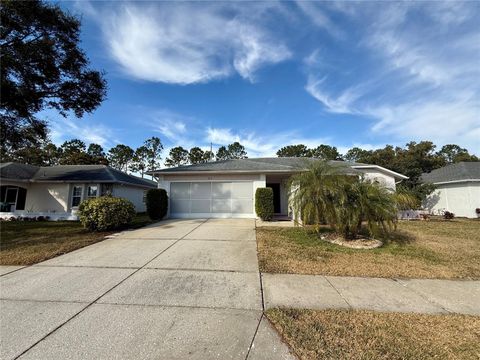 A home in PORT RICHEY