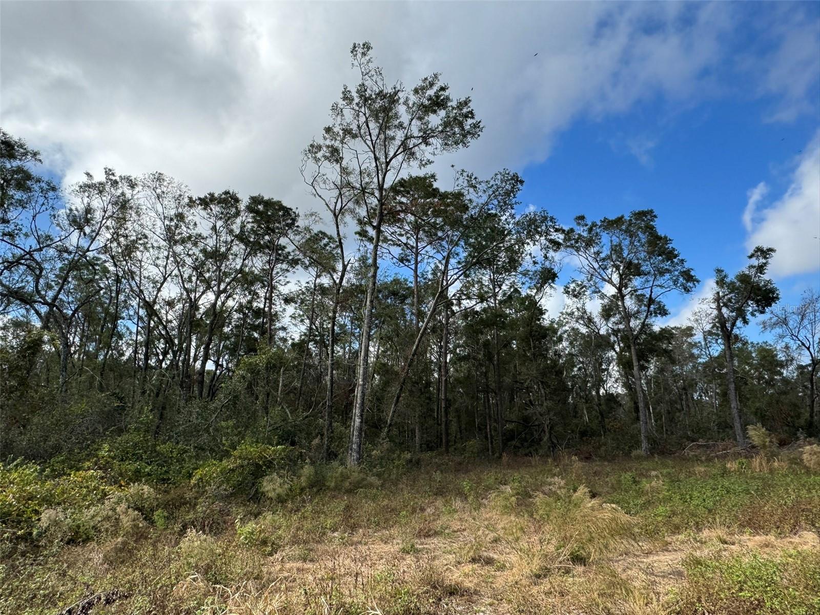 ACRES OF DIAMONDS - Land