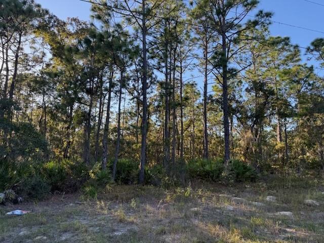 PINE RIDGE UNIT 2 - Land