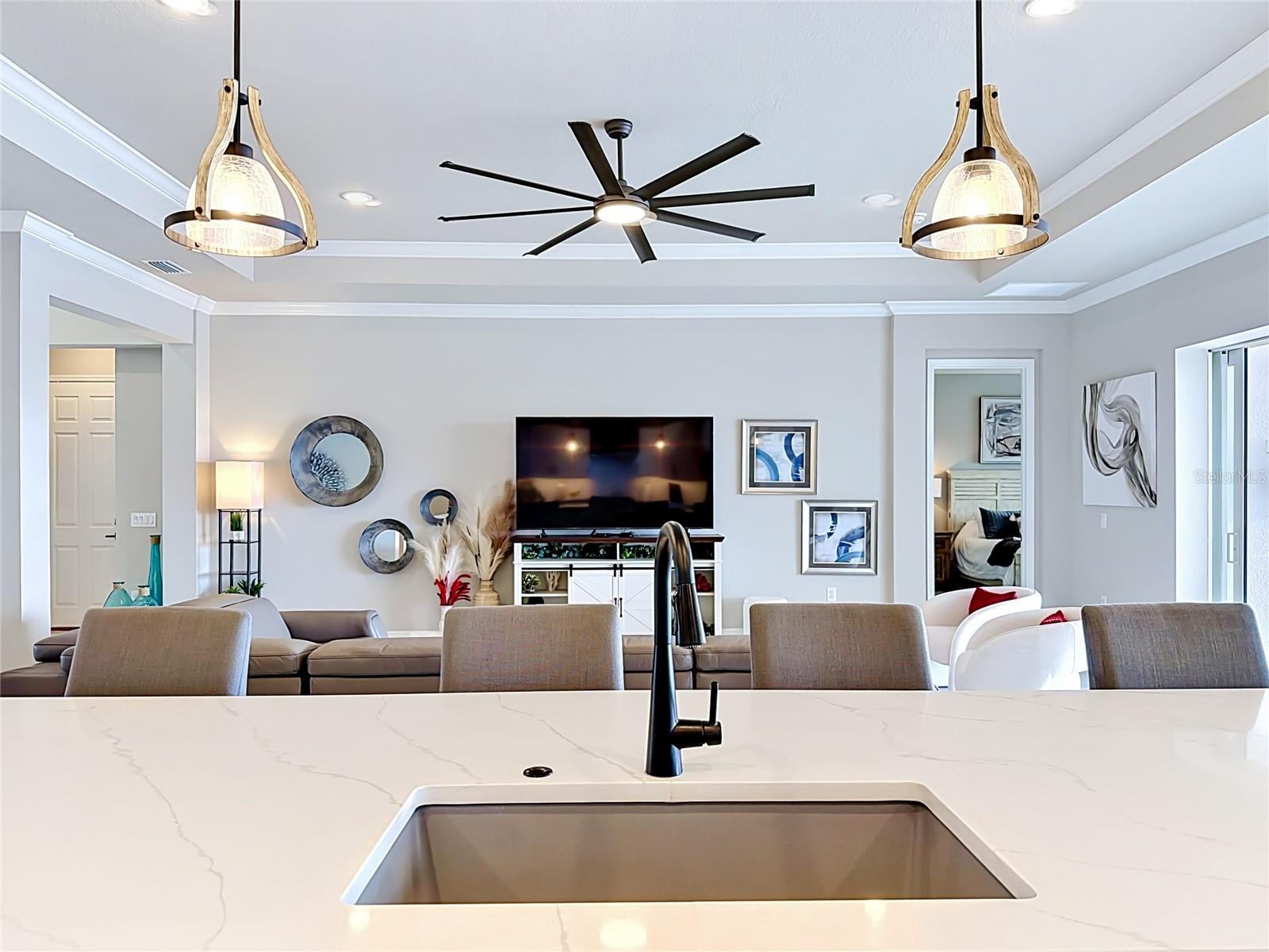 LAKES OF MOUNT DORA - Residential