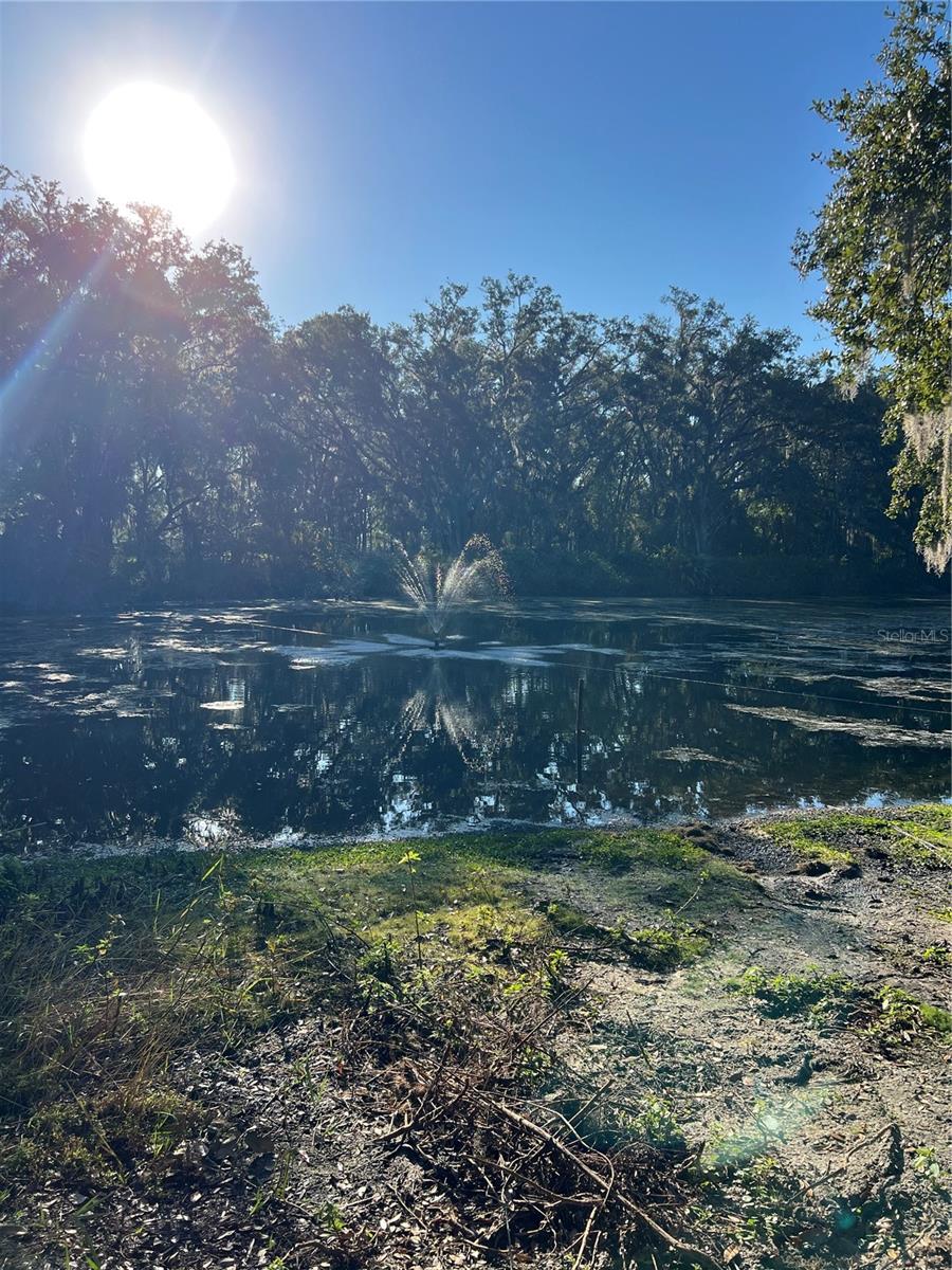 ZEPHYRHILLS COLONY CO - Residential Lease