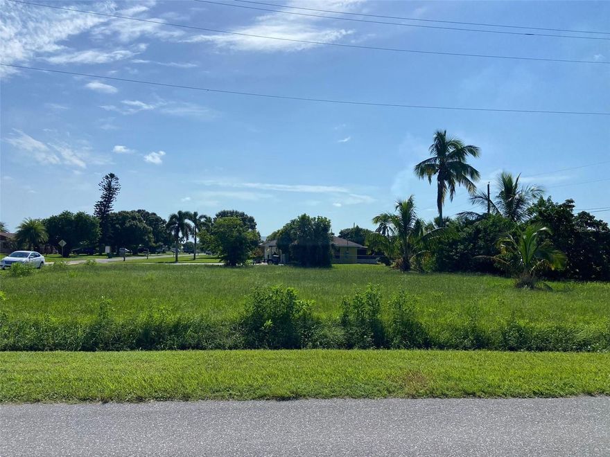Nice residential corner lot ready to build your dream house. Property has fruit trees.