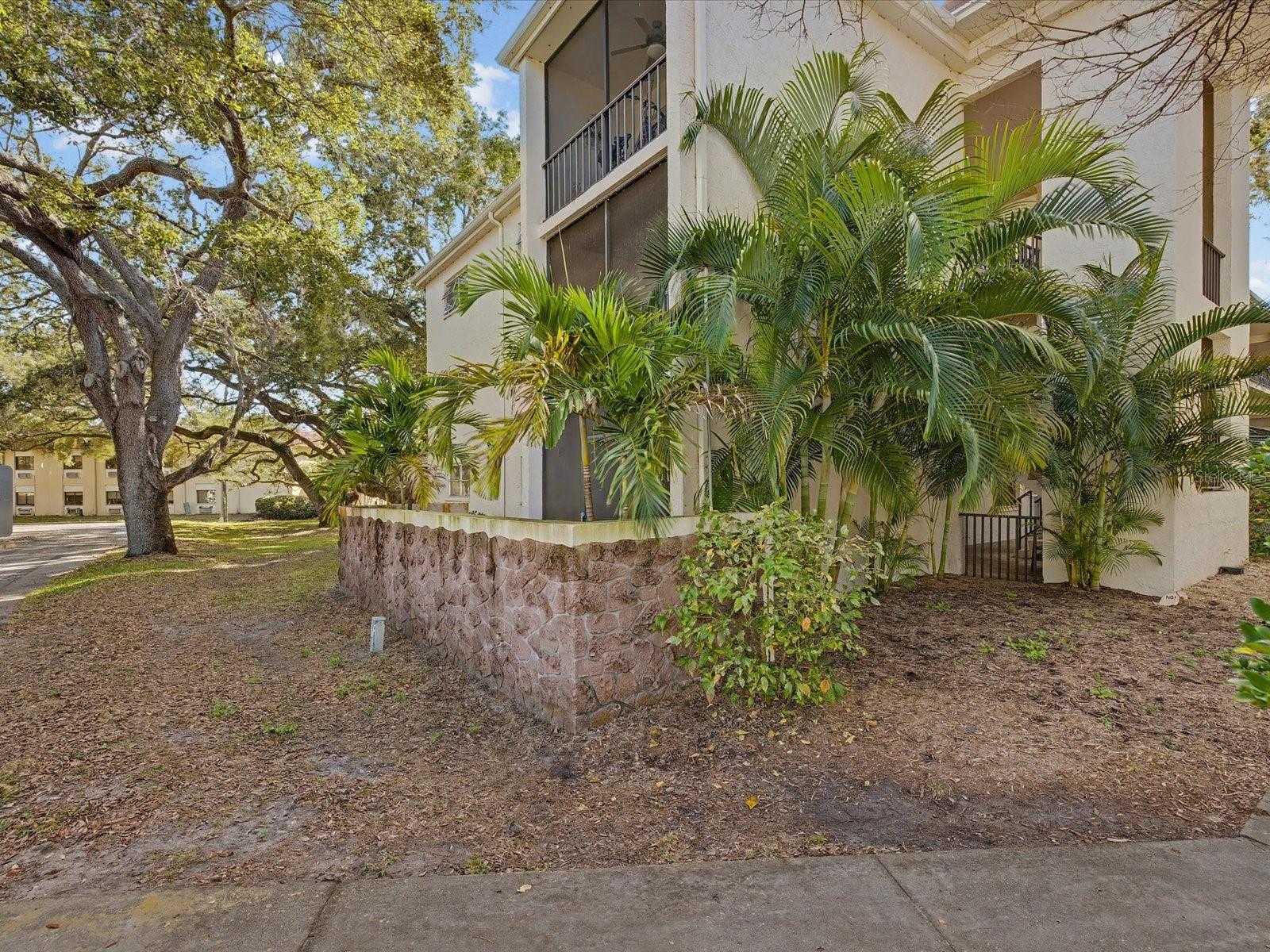 PATRICIAN OAKS - Residential