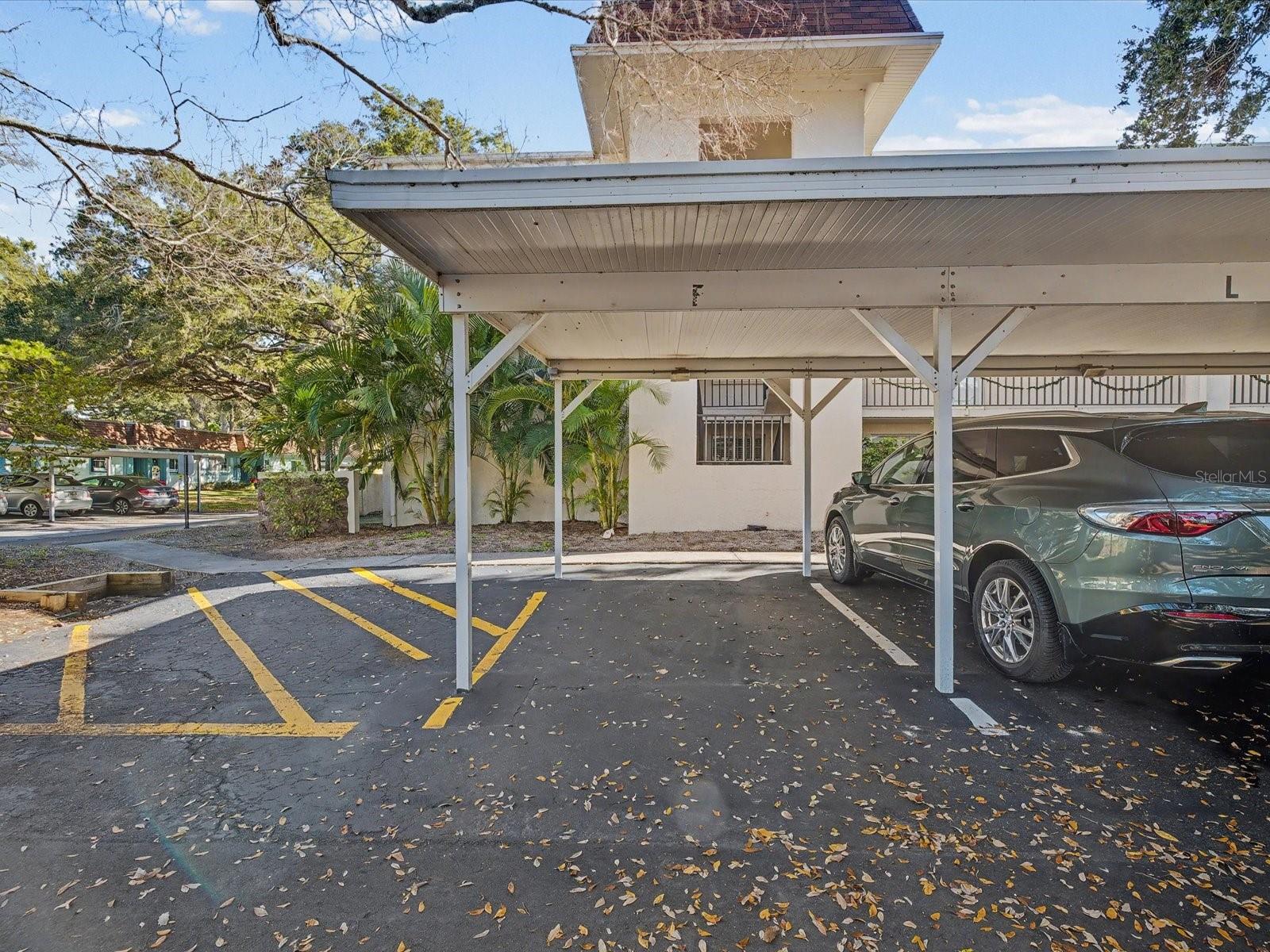 PATRICIAN OAKS - Residential