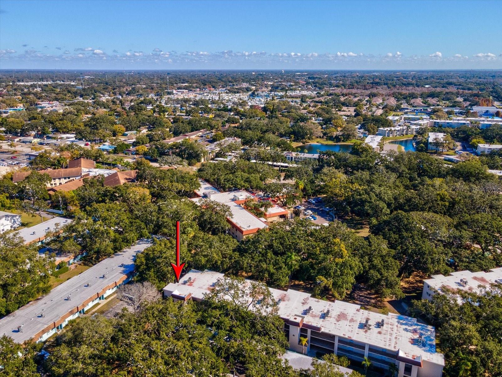 PATRICIAN OAKS - Residential