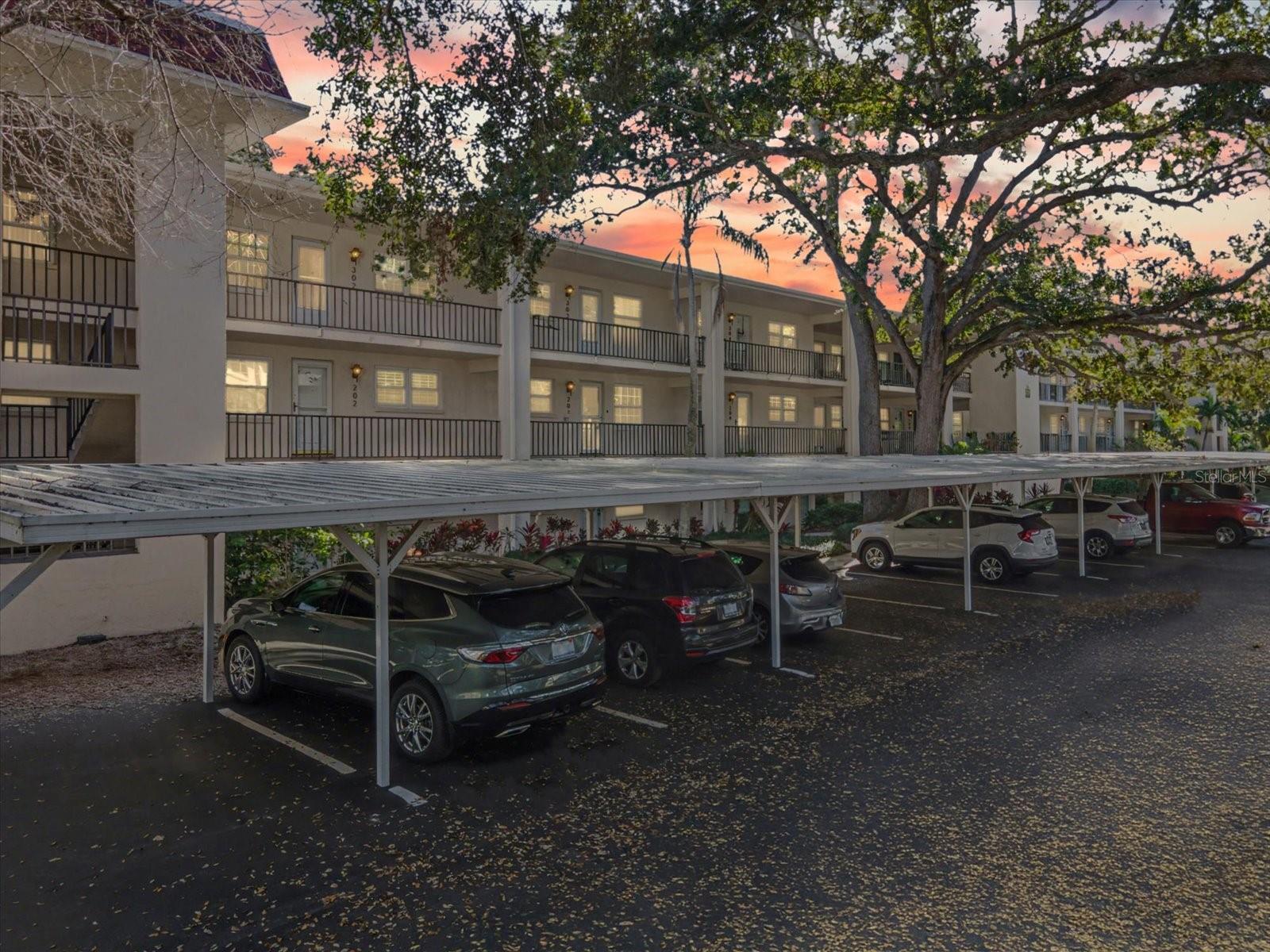 PATRICIAN OAKS - Residential