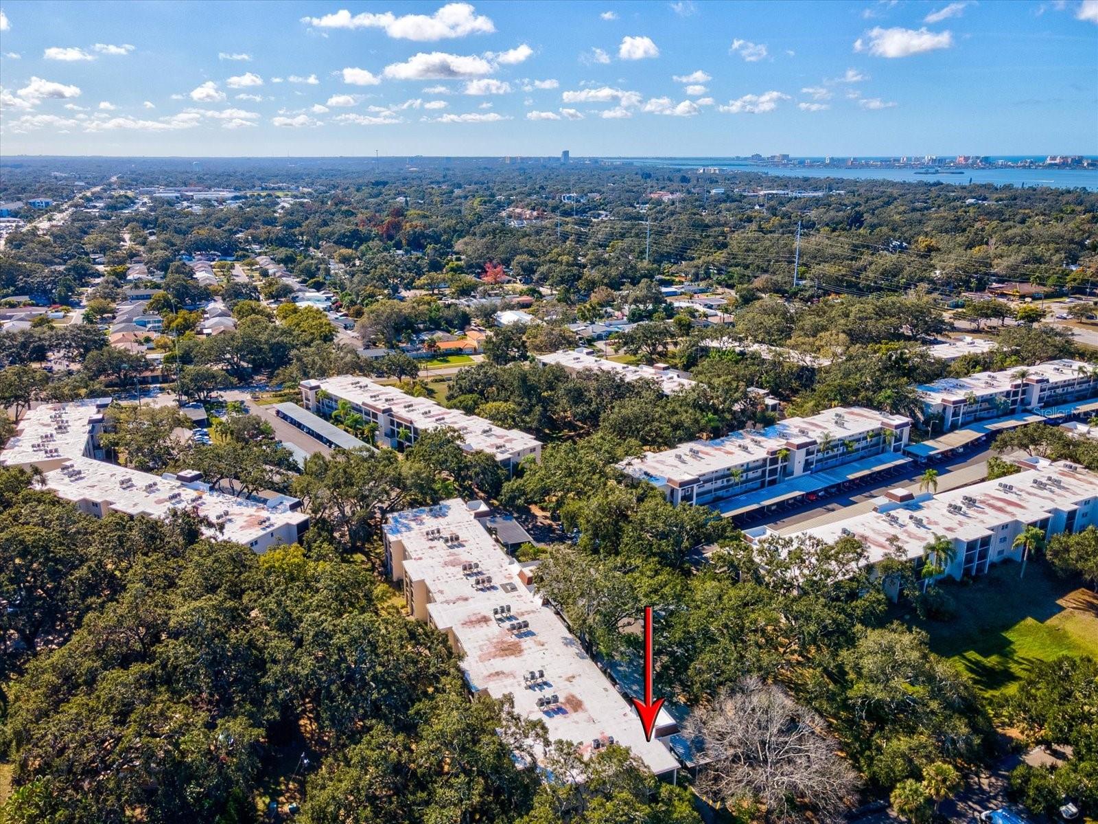 PATRICIAN OAKS - Residential