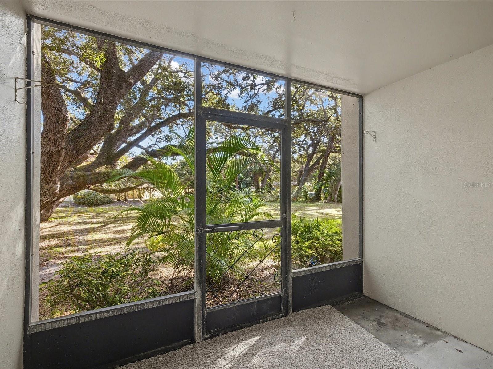 PATRICIAN OAKS - Residential