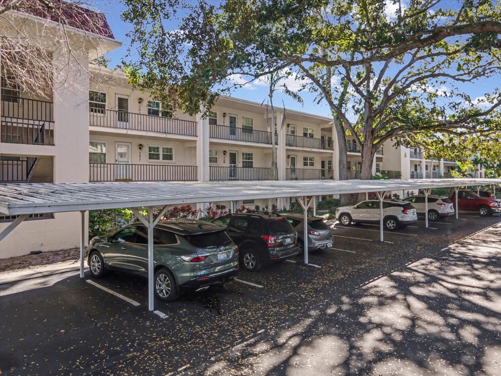 PATRICIAN OAKS - Residential