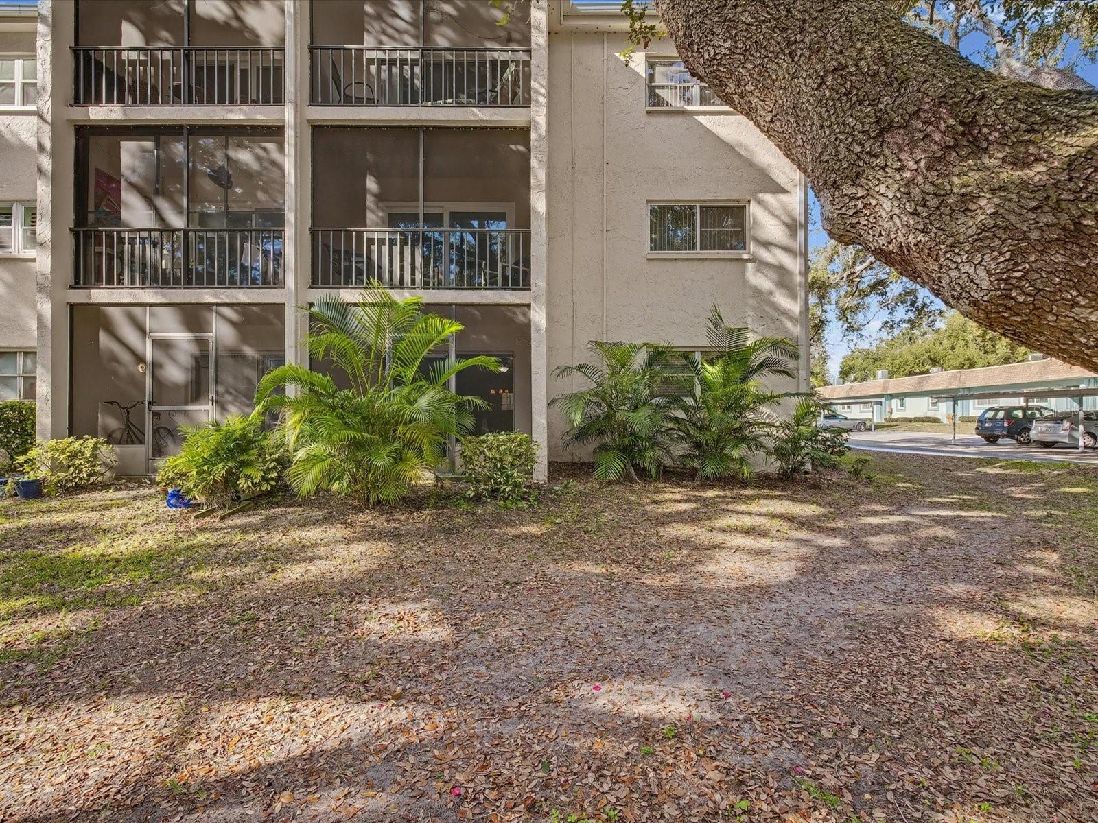 PATRICIAN OAKS - Residential