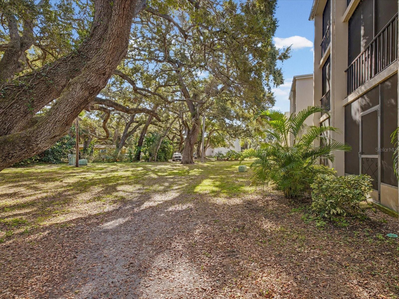 PATRICIAN OAKS - Residential