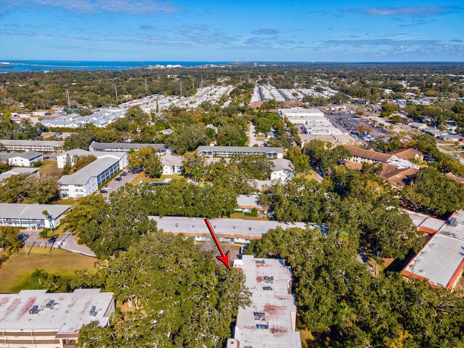 PATRICIAN OAKS - Residential