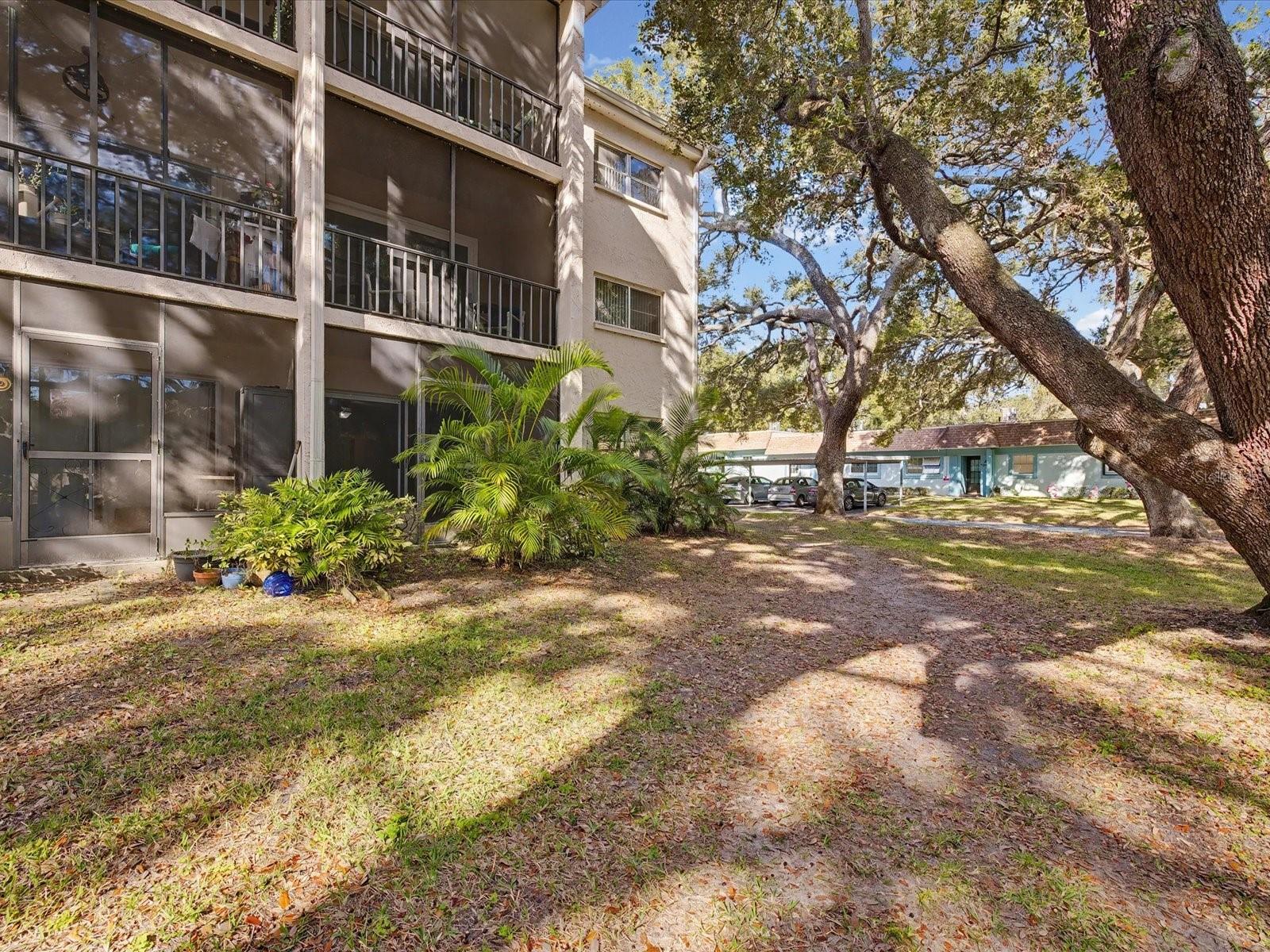 PATRICIAN OAKS - Residential