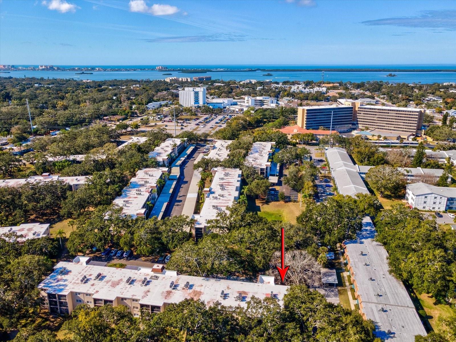 PATRICIAN OAKS - Residential