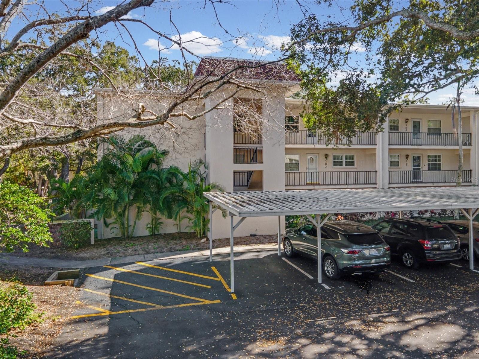 PATRICIAN OAKS - Residential