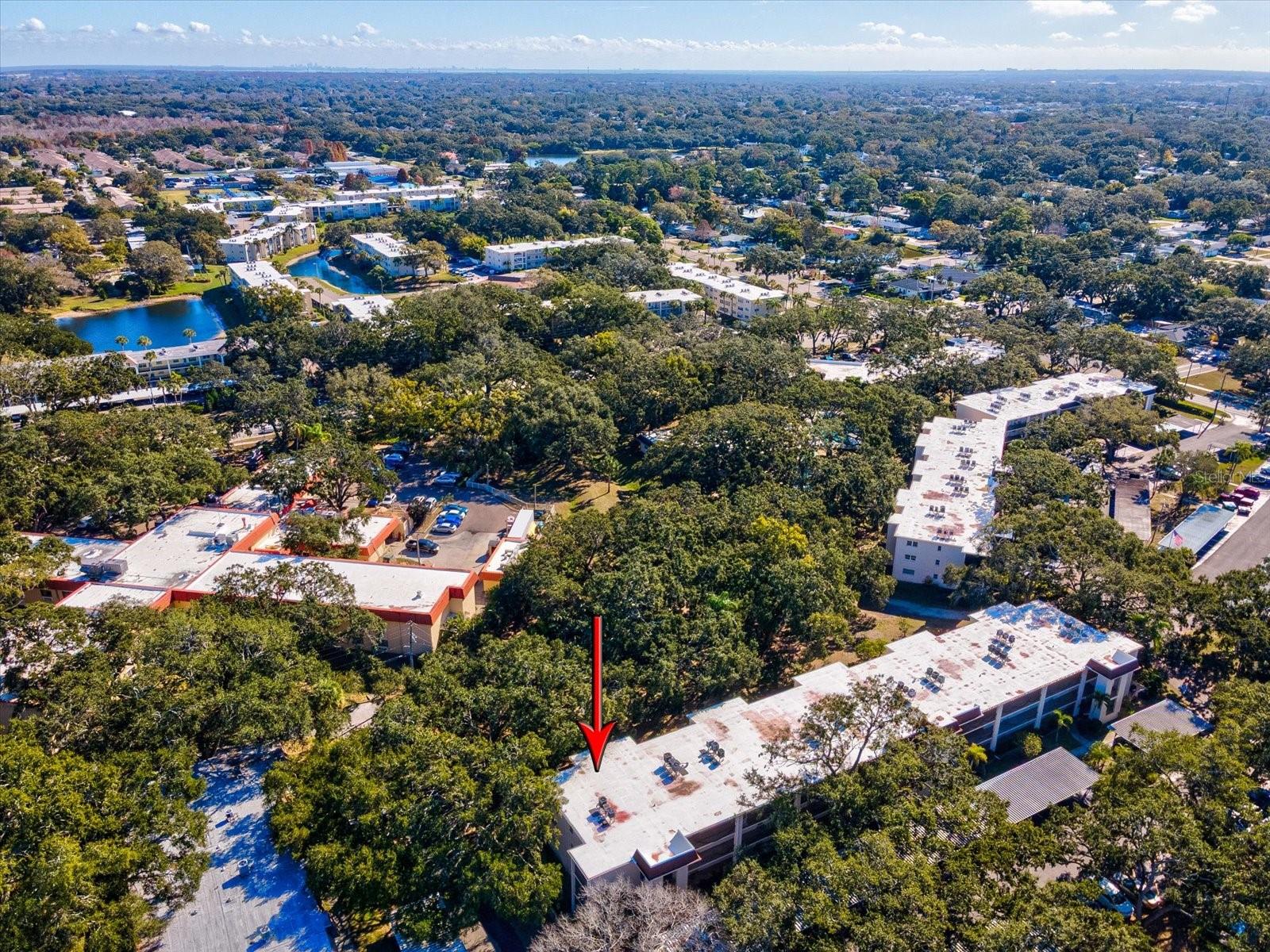 PATRICIAN OAKS - Residential