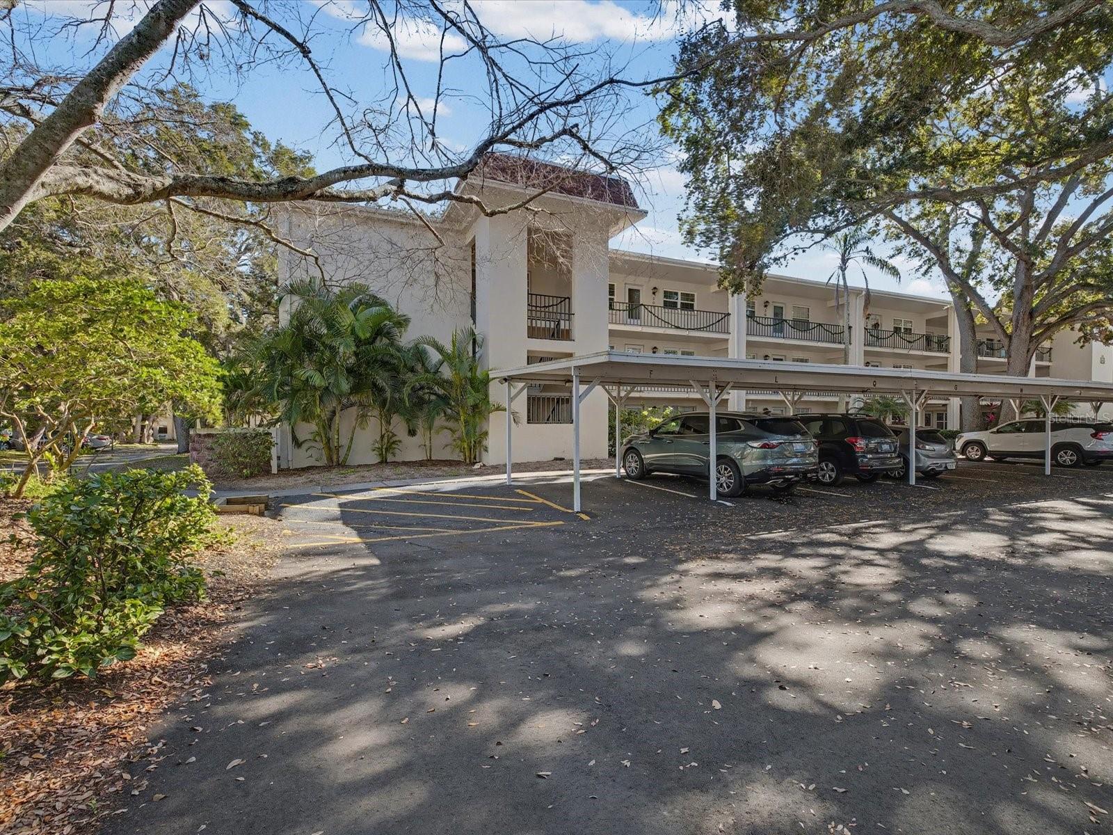 PATRICIAN OAKS - Residential