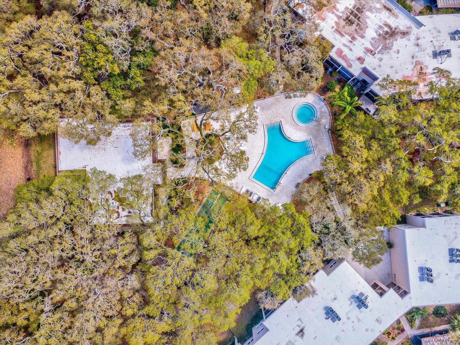 PATRICIAN OAKS - Residential