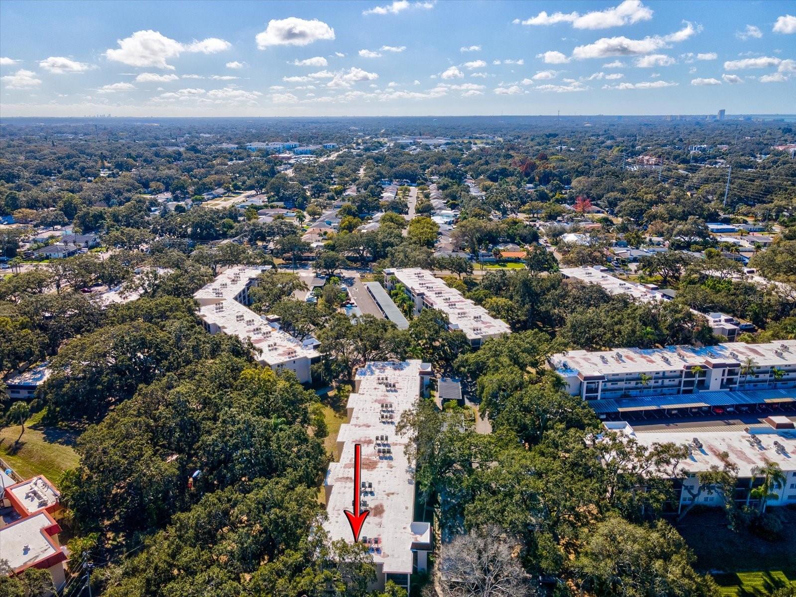 PATRICIAN OAKS - Residential