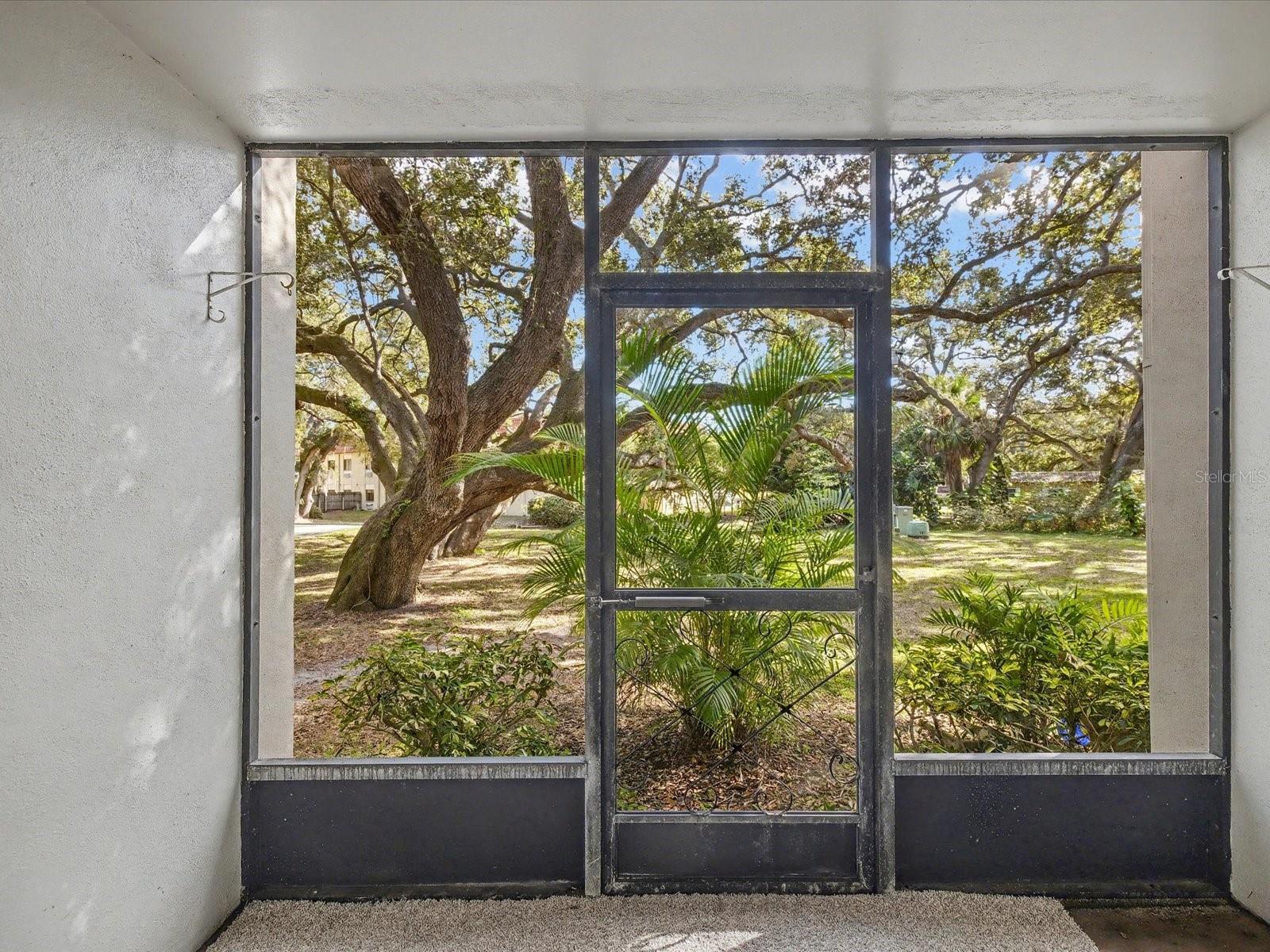 PATRICIAN OAKS - Residential