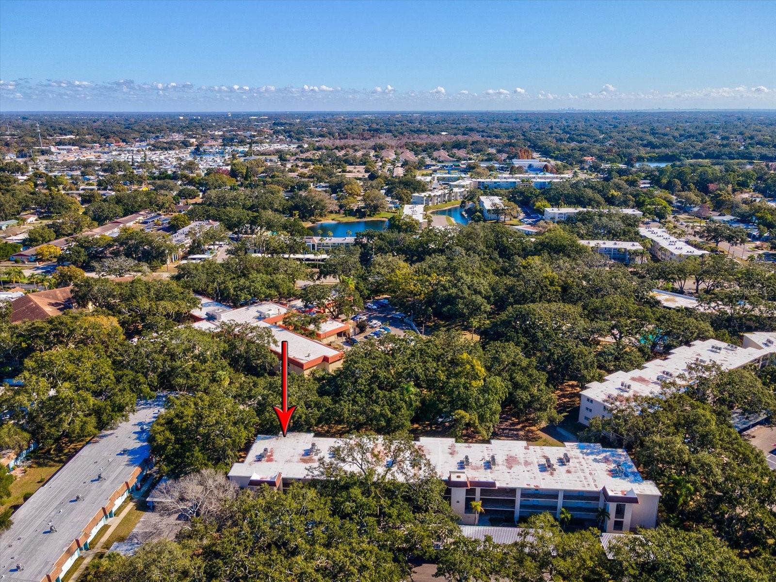 PATRICIAN OAKS - Residential