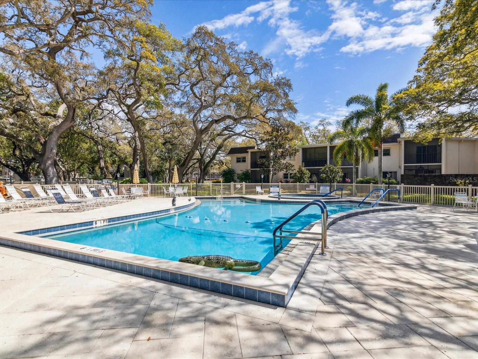 PATRICIAN OAKS - Residential