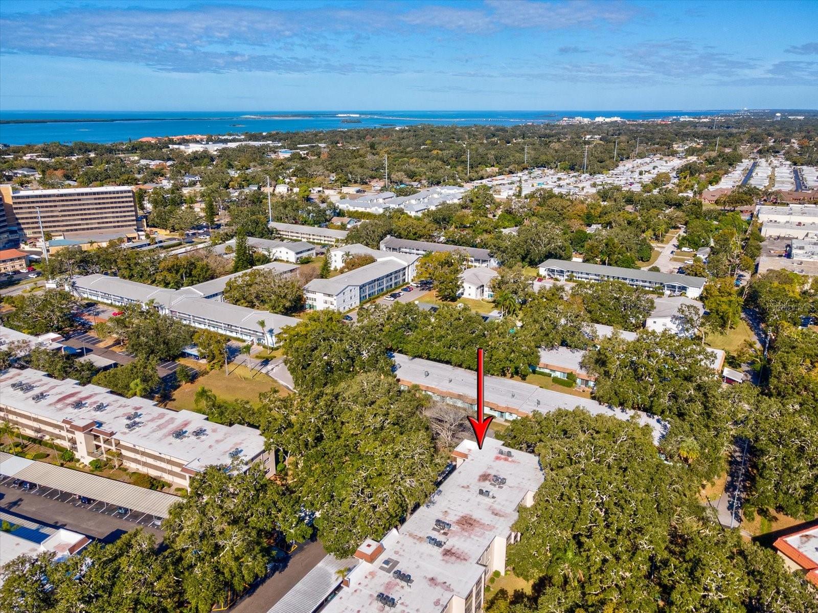 PATRICIAN OAKS - Residential