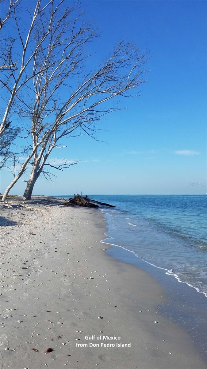 PARK POINTE MOB HME VLGE - Land